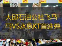 大邱石油公社飛馬VS水原KT音速彈