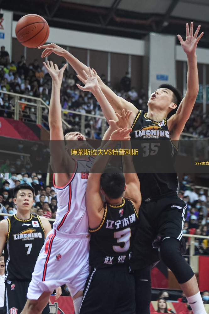 博萊斯拉夫VS特普利斯