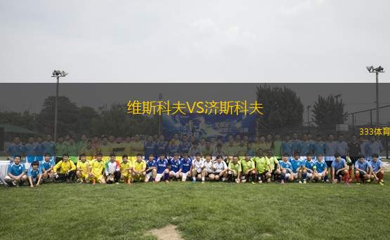 維斯科夫VS濟斯科夫