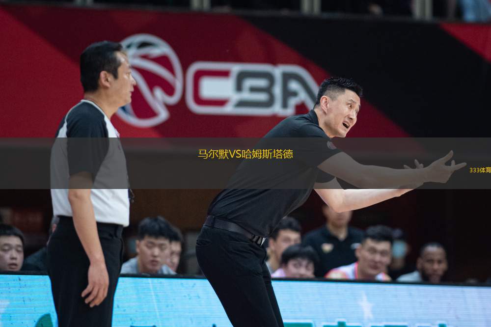 馬爾默VS哈姆斯塔德