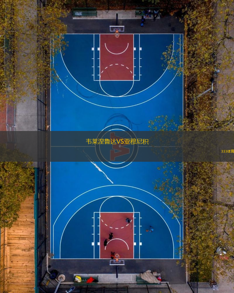 韋萊涅魯達VS亞穆尼積