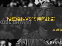 維霍維納VSFS特?zé)岜绕?> </a>
            <div   id=
