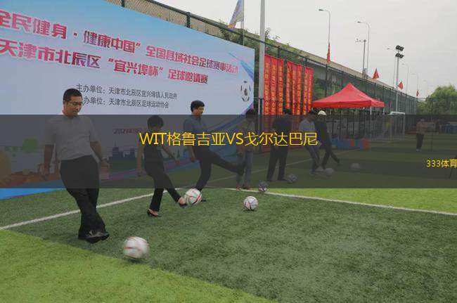 WIT格魯吉亞VS戈爾達(dá)巴尼