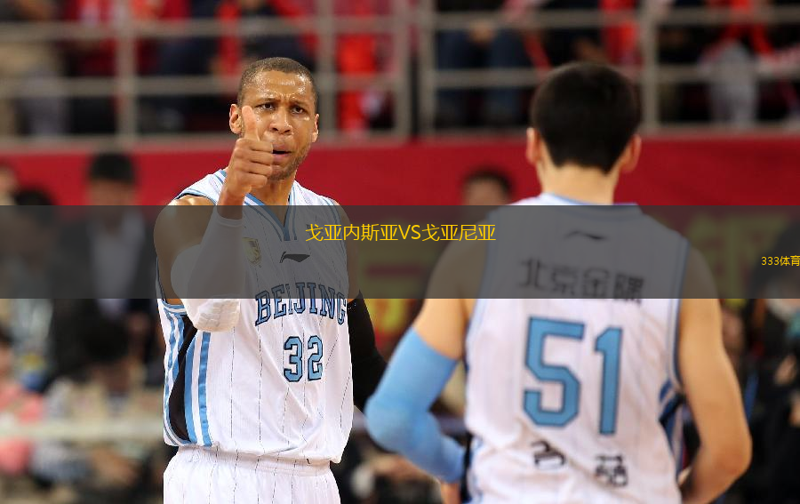 戈亞內(nèi)斯亞VS戈亞尼亞